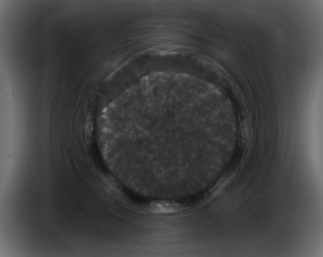 X0000084580372200703231848