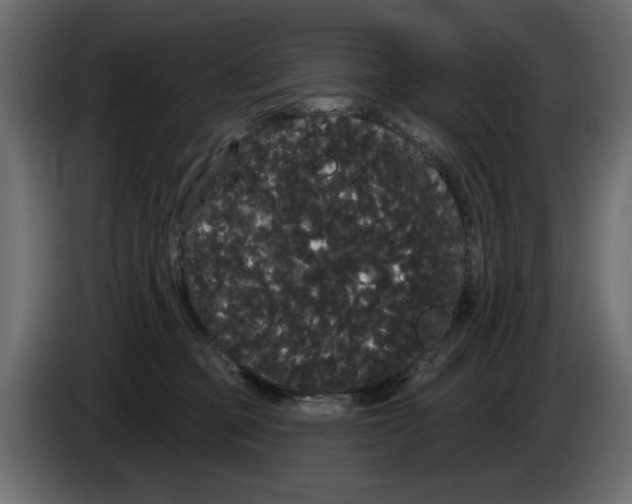 X0000084580373200703231848