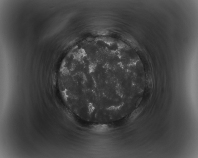 X0000084580374200703231848