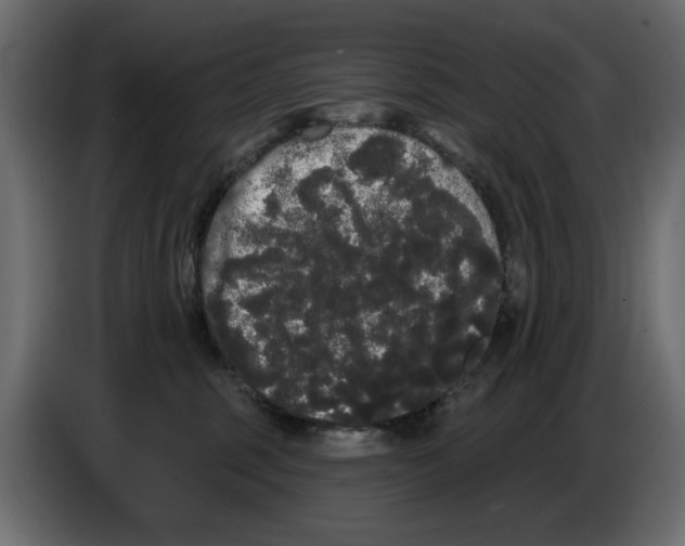 X0000084580375200703231848