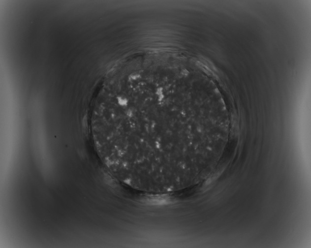 X0000084580377200703231848