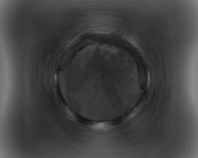 X0000084580382200703231848