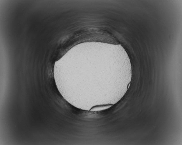 X0000084580384200703231849