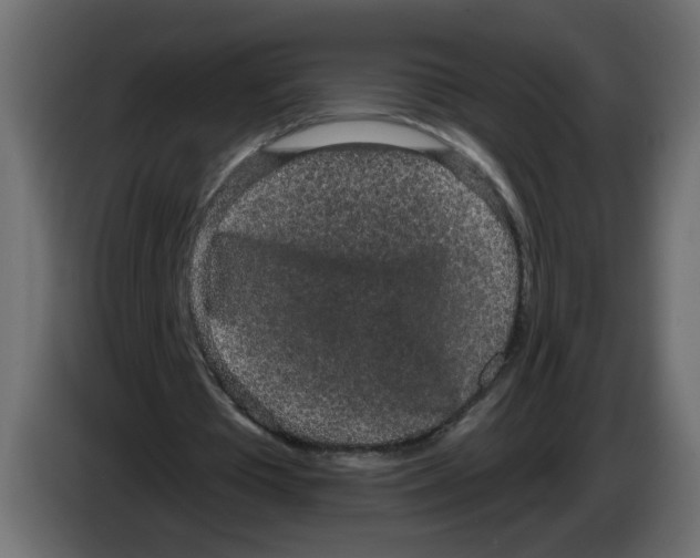 X0000084580385200703231848