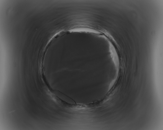 X0000084580386200703231848
