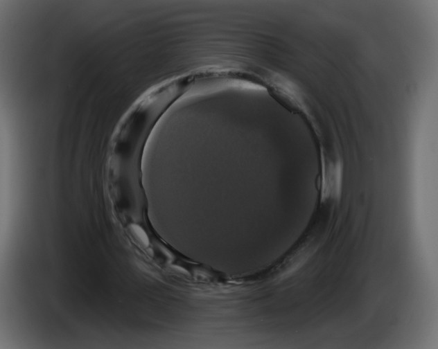 X0000084580387200703231848