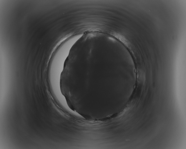 X0000084580390200703231848