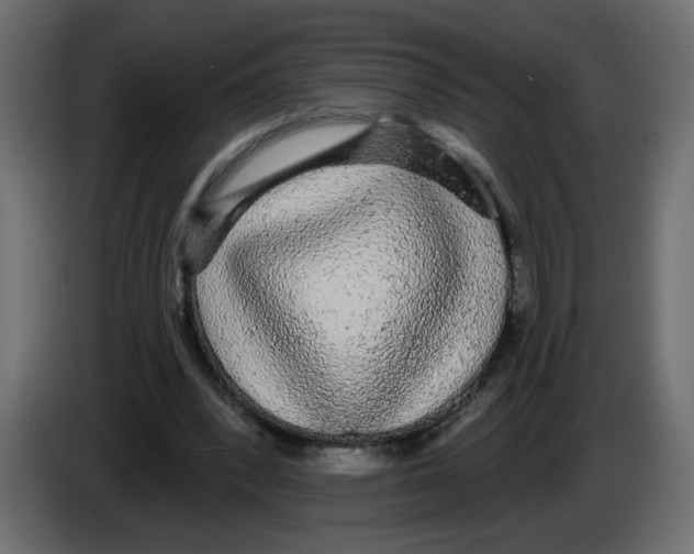 X0000084580392200703231848