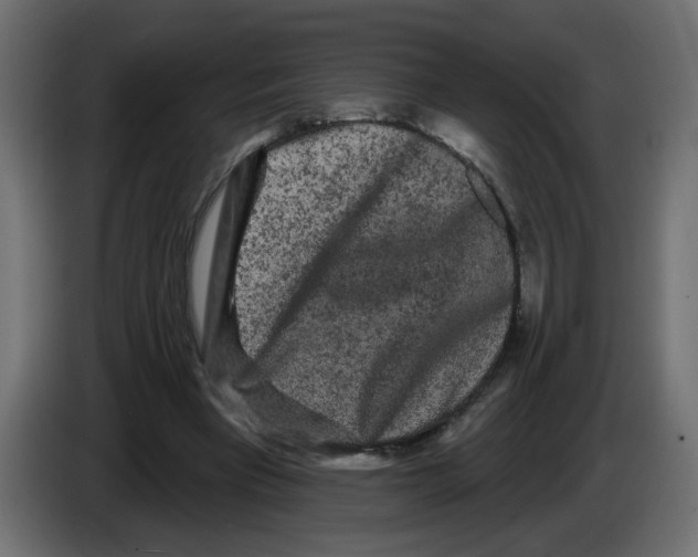 X0000084580393200703231848