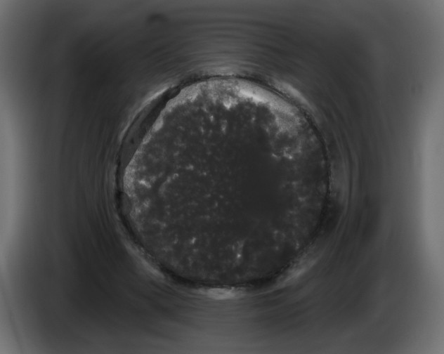 X0000084580394200703231848