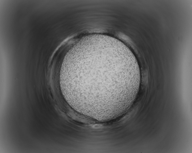X0000084580395200703231848