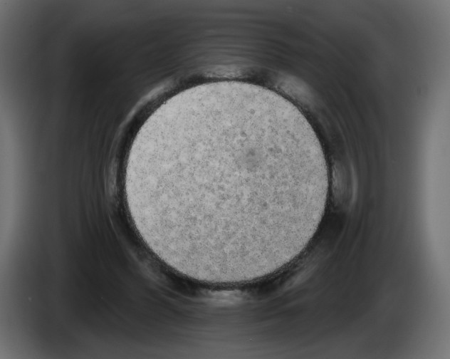 X0000084580396200703231848