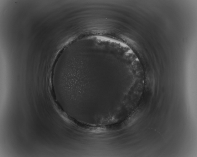 X0000084580398200703231848