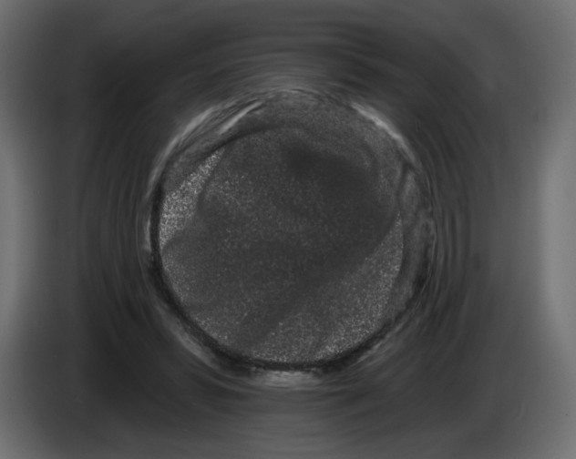 X0000084580399200703231848