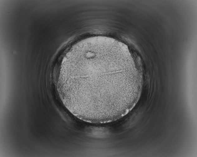 X0000084580400200703231848