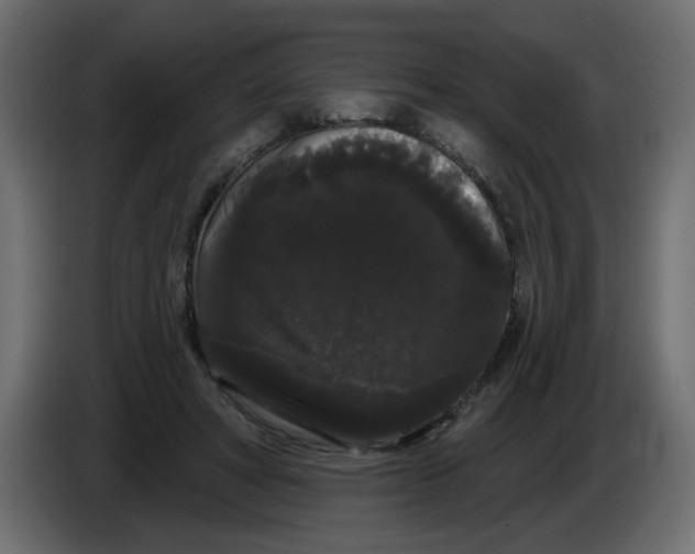 X0000084580402200703231848