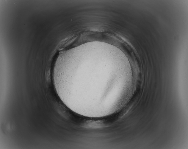 X0000084580403200703231848