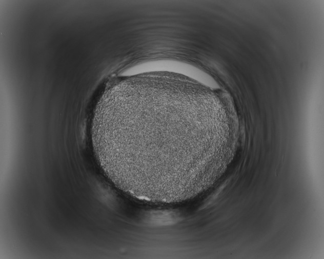 X0000084580404200703231848