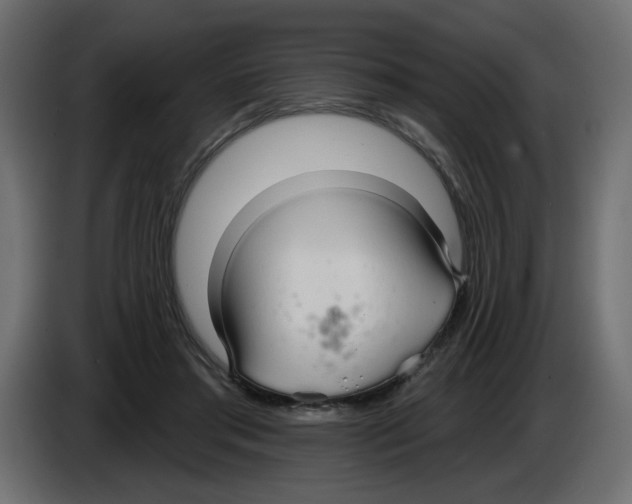 X0000084580405200703231848