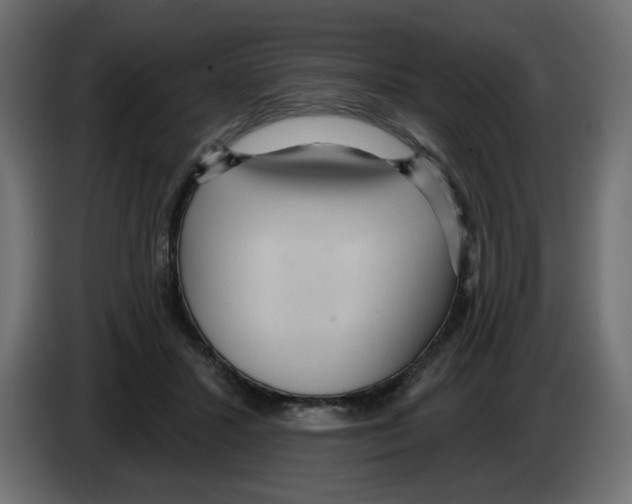 X0000084580407200703231848