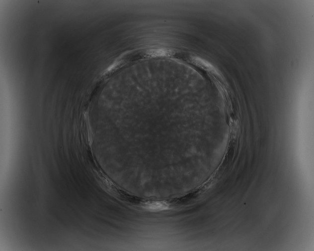 X0000084580409200703231847