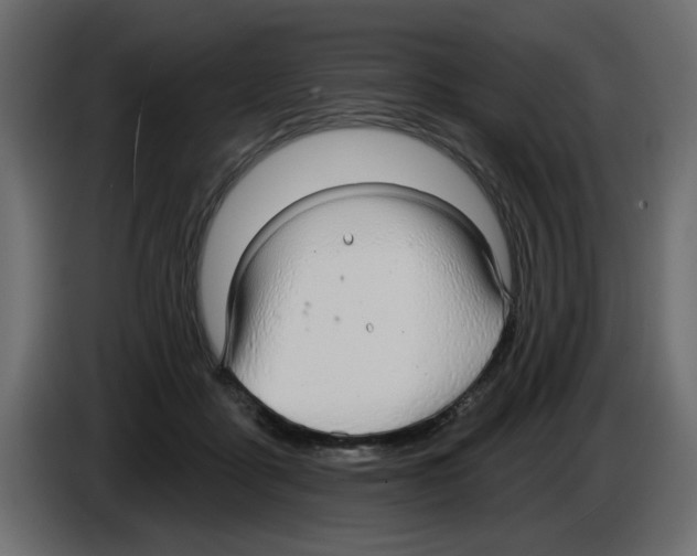 X0000084580411200703231847