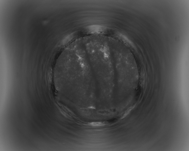 X0000084580413200703231847