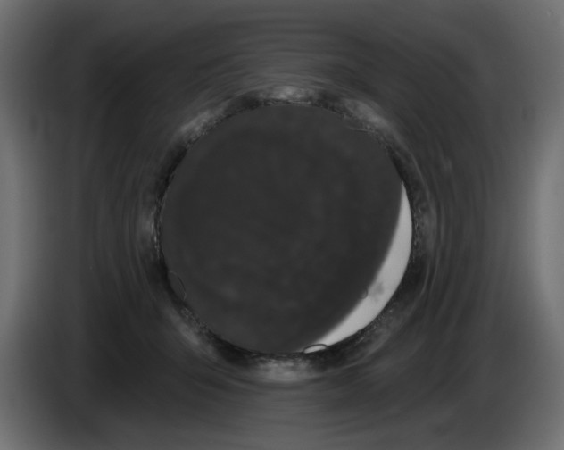 X0000084580415200703231847
