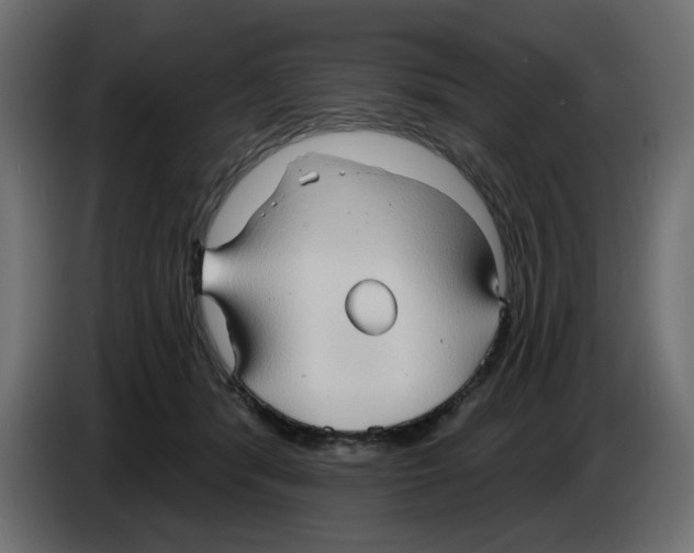 X0000084580416200703231847