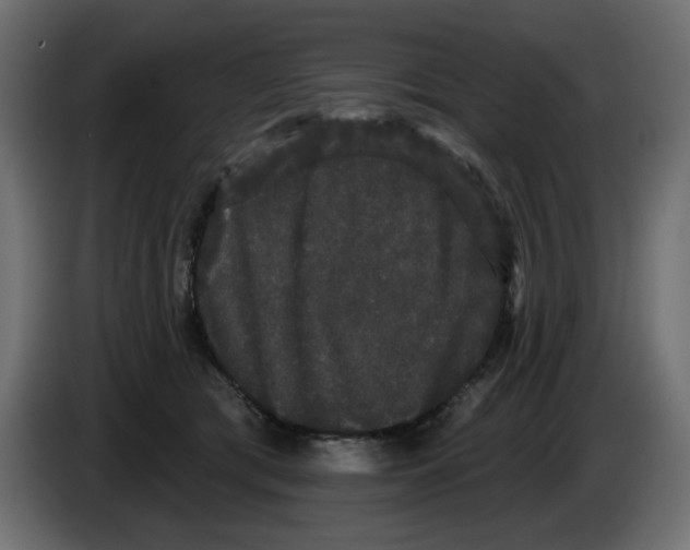 X0000084580417200703231847