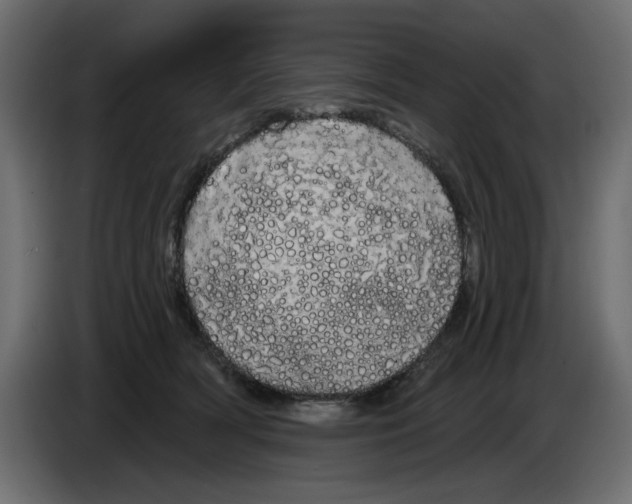X0000084580418200703231847