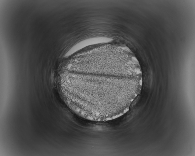 X0000084580420200703231847