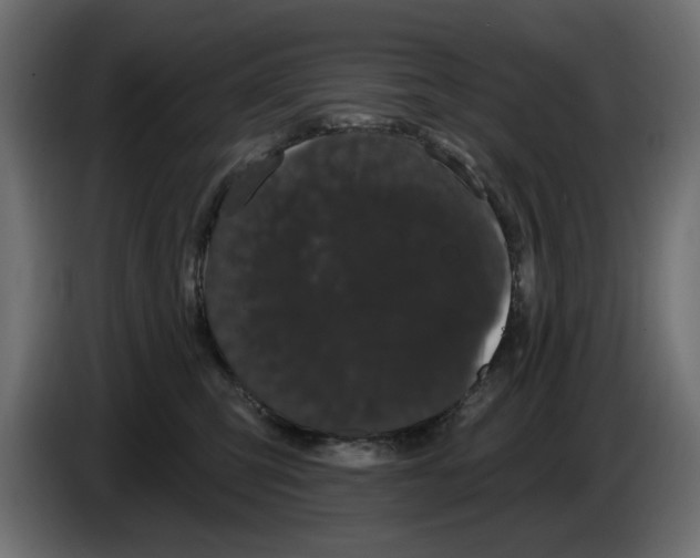 X0000084580423200703231847