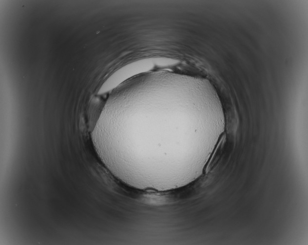 X0000084580425200703231847