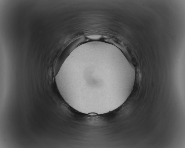 X0000084580428200703231847