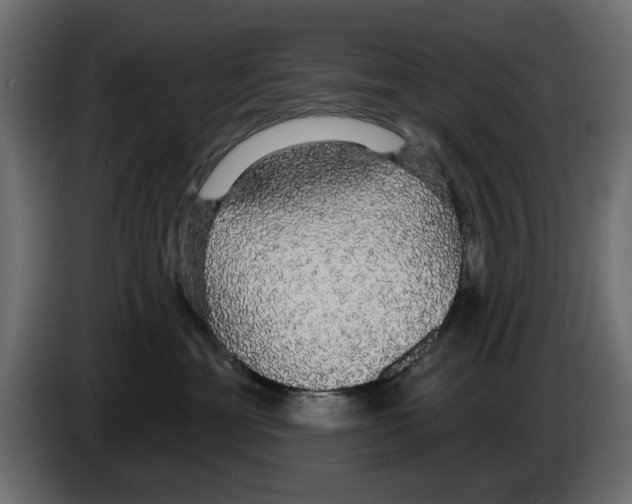 X0000084580429200703231847