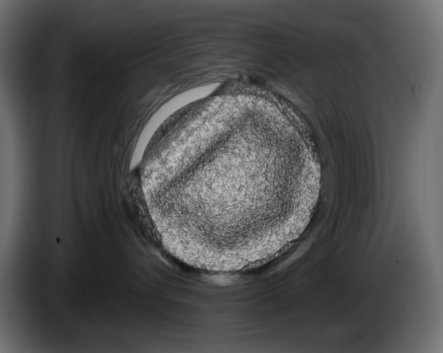 X0000084580432200703231847