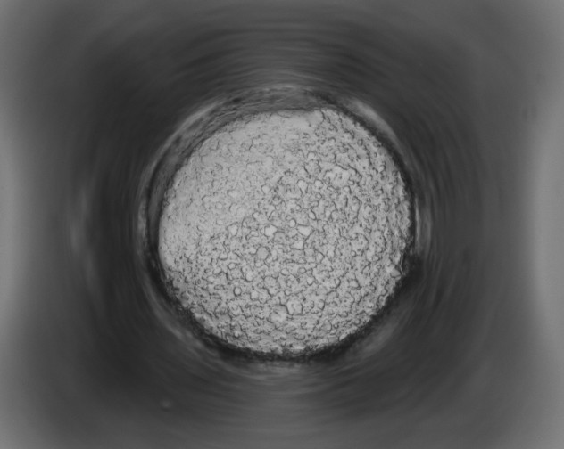 X0000084580435200703231847