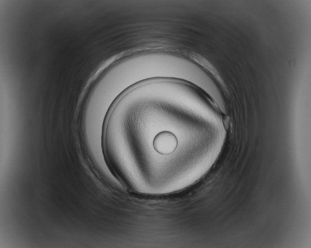 X0000084580436200703231847
