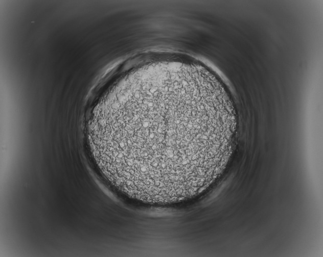 X0000084580437200703231847