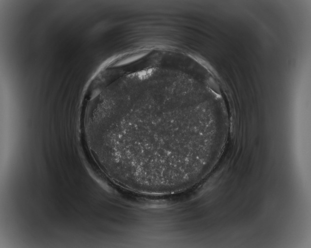 X0000084580438200703231847