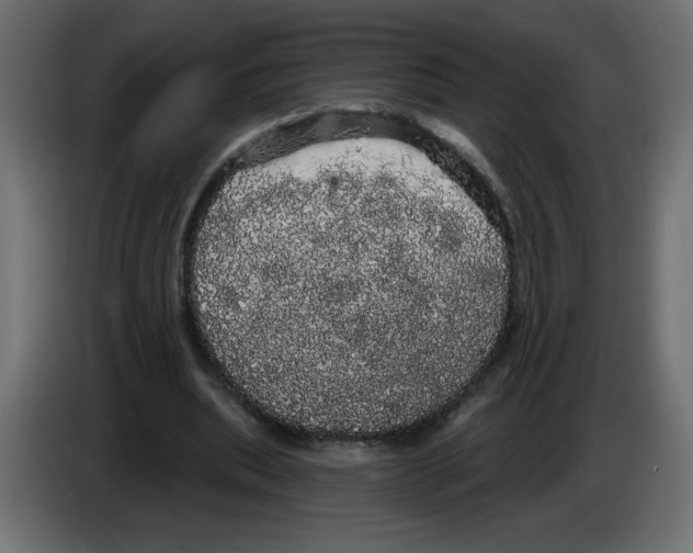 X0000084580439200703231847