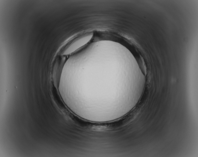 X0000084580440200703231847