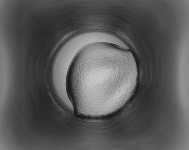 X0000084580444200703231847