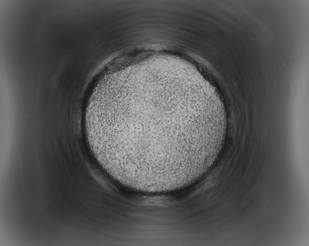 X0000084580446200703231847