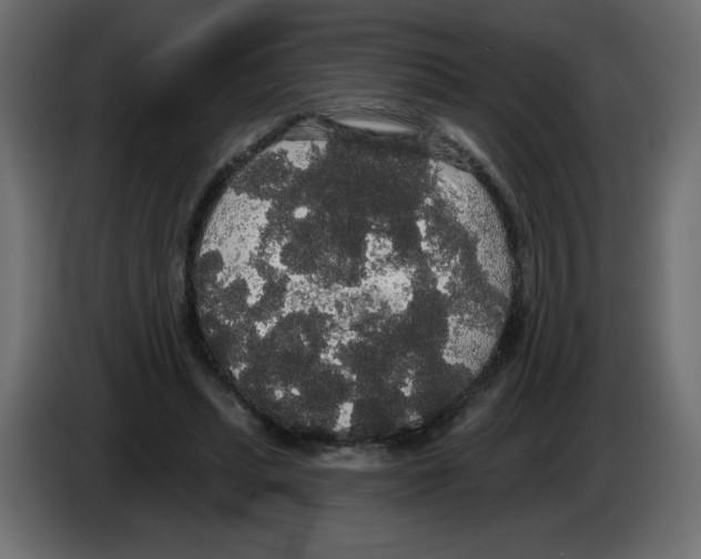 X0000084580447200703231847