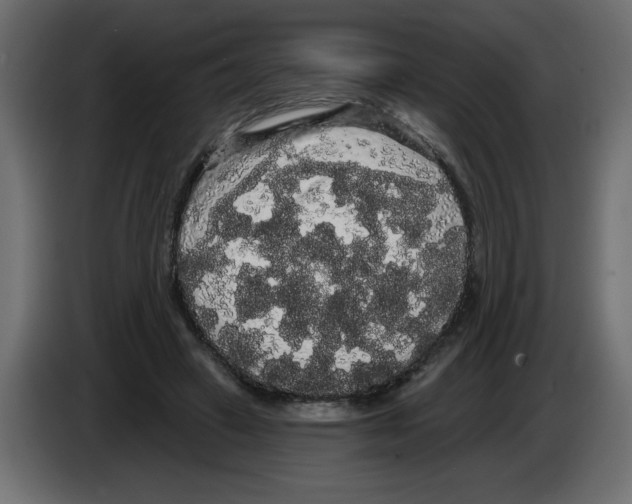 X0000084580449200703231847