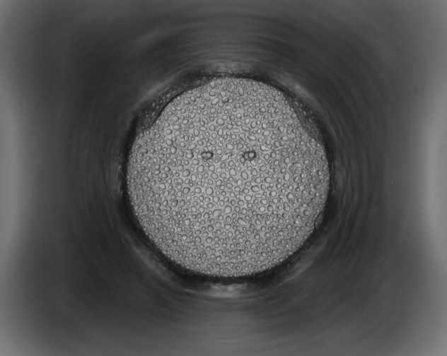 X0000084580450200703231847