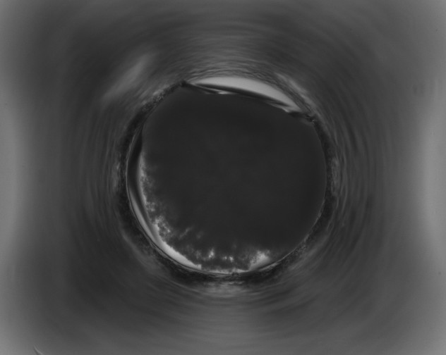 X0000084580451200703231847
