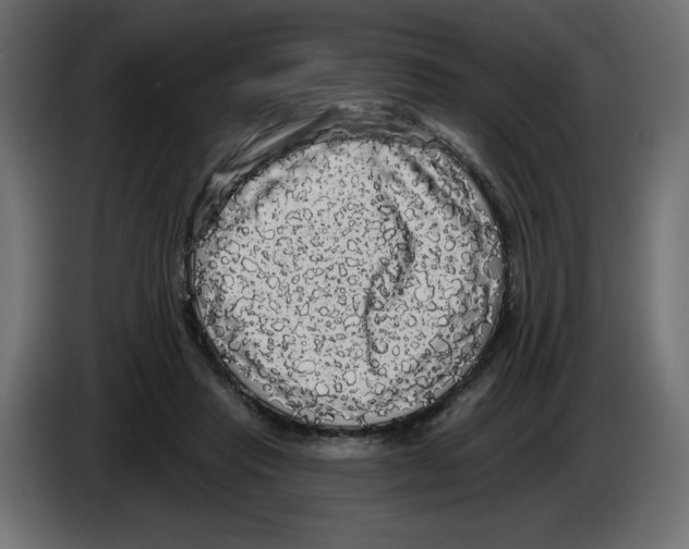 X0000084580453200703231847